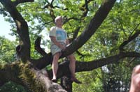 BF-Treffen_LG-20180507-0059-GaN_6559